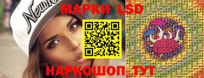 прущие грибы Абакан