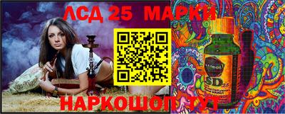 прущие грибы Абакан