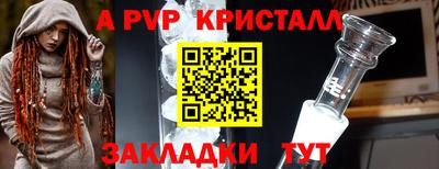 прущие грибы Абакан