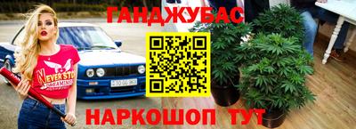 прущие грибы Абакан