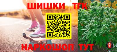прущие грибы Абакан