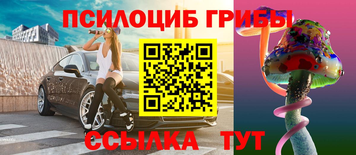 Псилоцибиновые грибы Cubensis Анапа